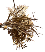 Elegant in Bright - Image 3